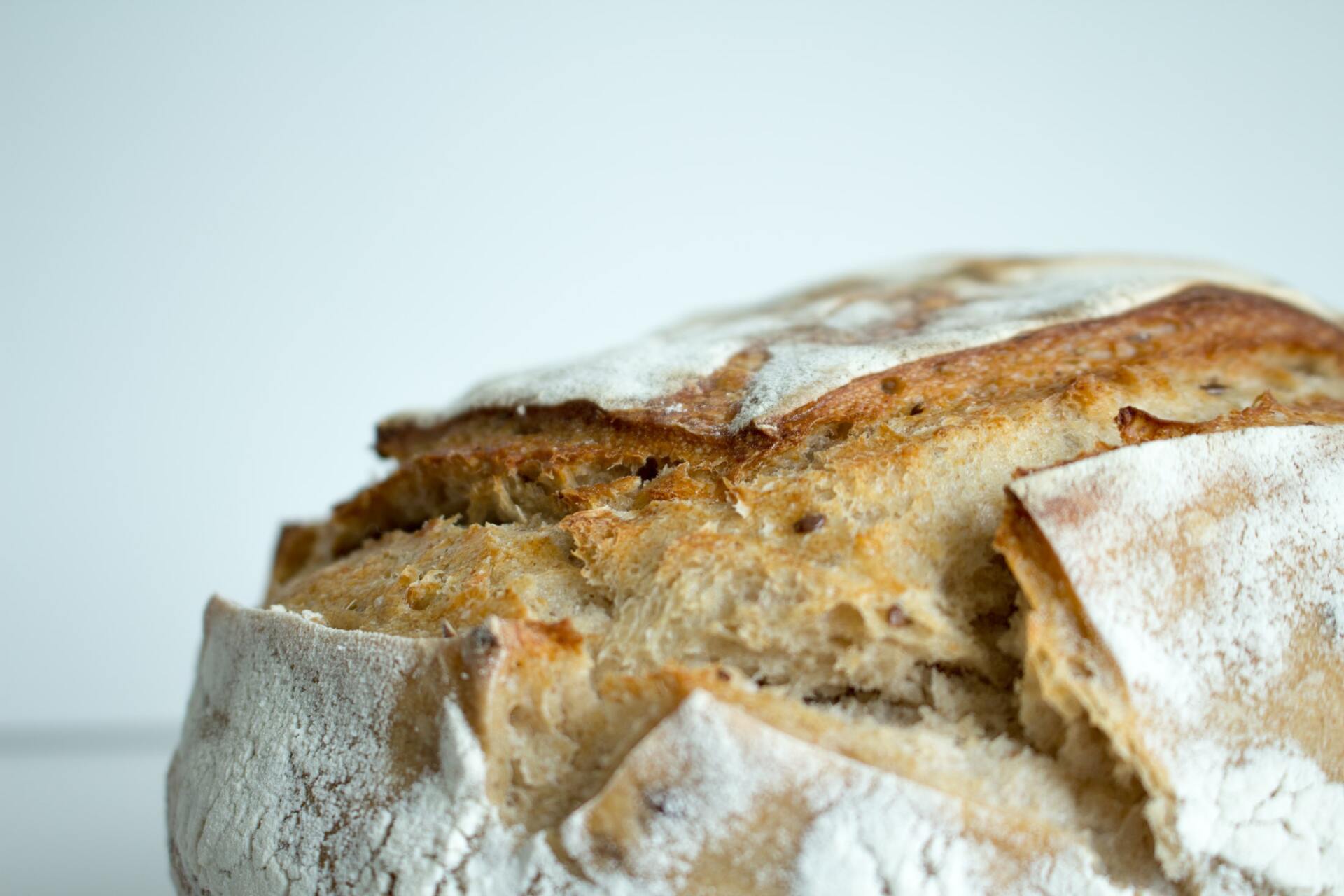 Daily Bakehouse