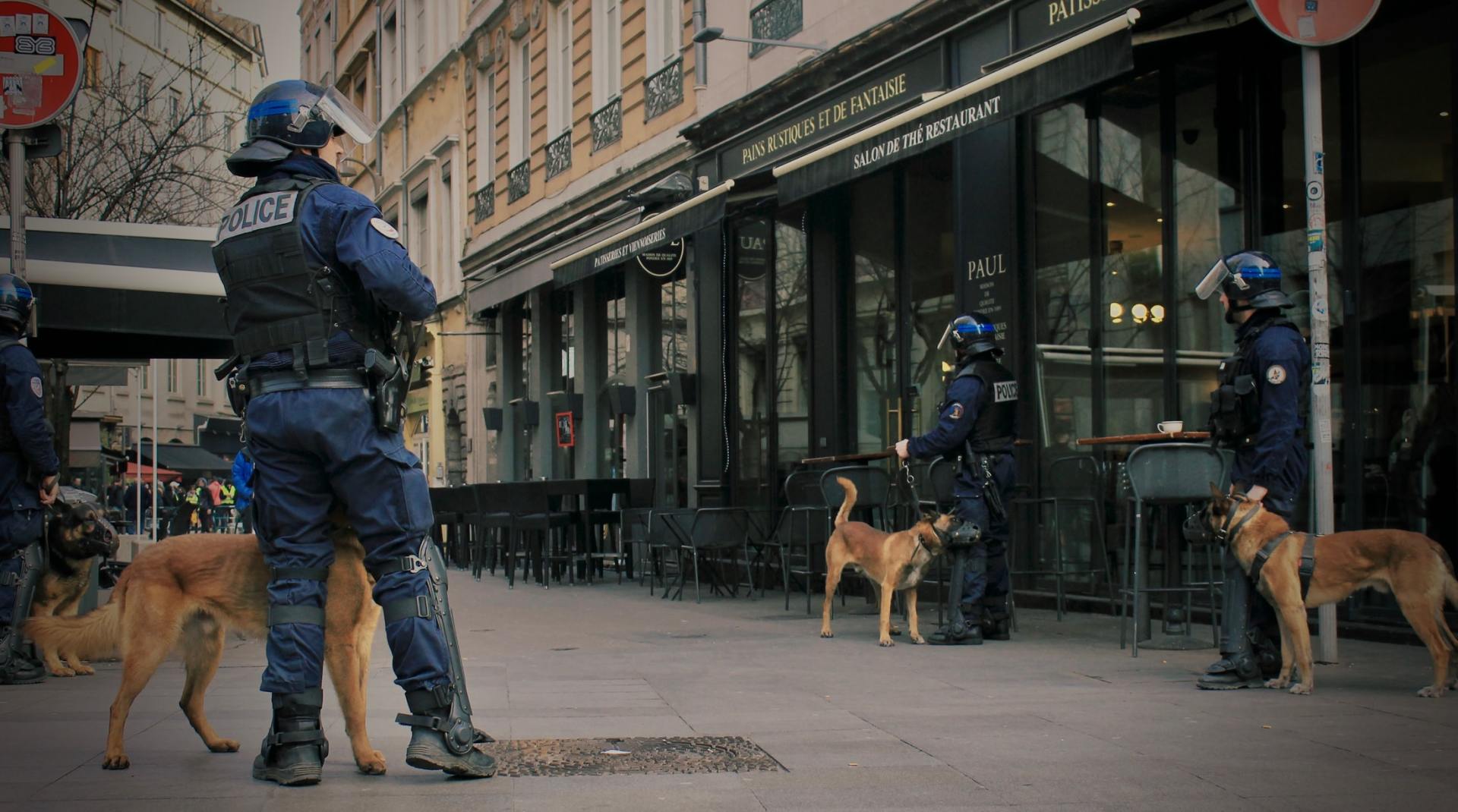 security dogs