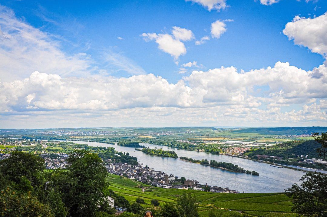 Blick auf einen Fluss, umgeben von Bäumen an einem sonnigen Tag