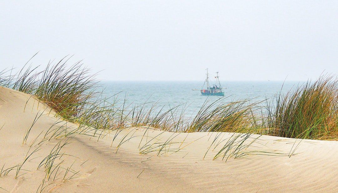 Sanddünen mit Strandgras, die den Blick auf den Ozean und ein Boot am Horizont freigeben.