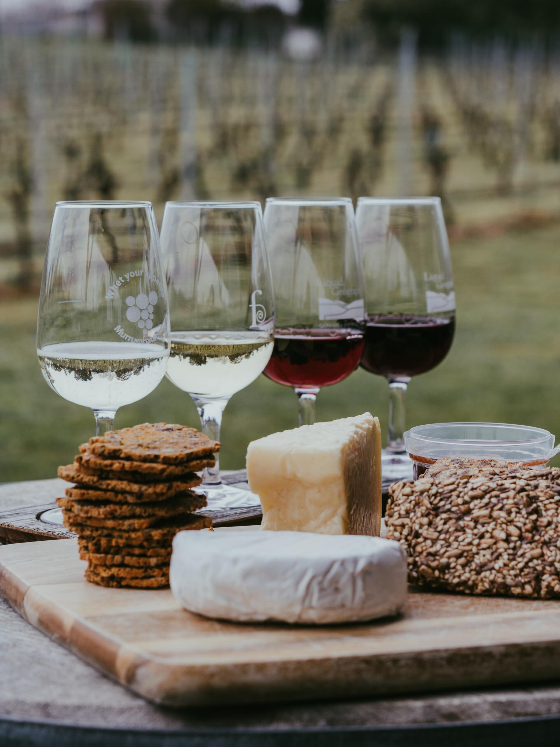 Wine Tour
