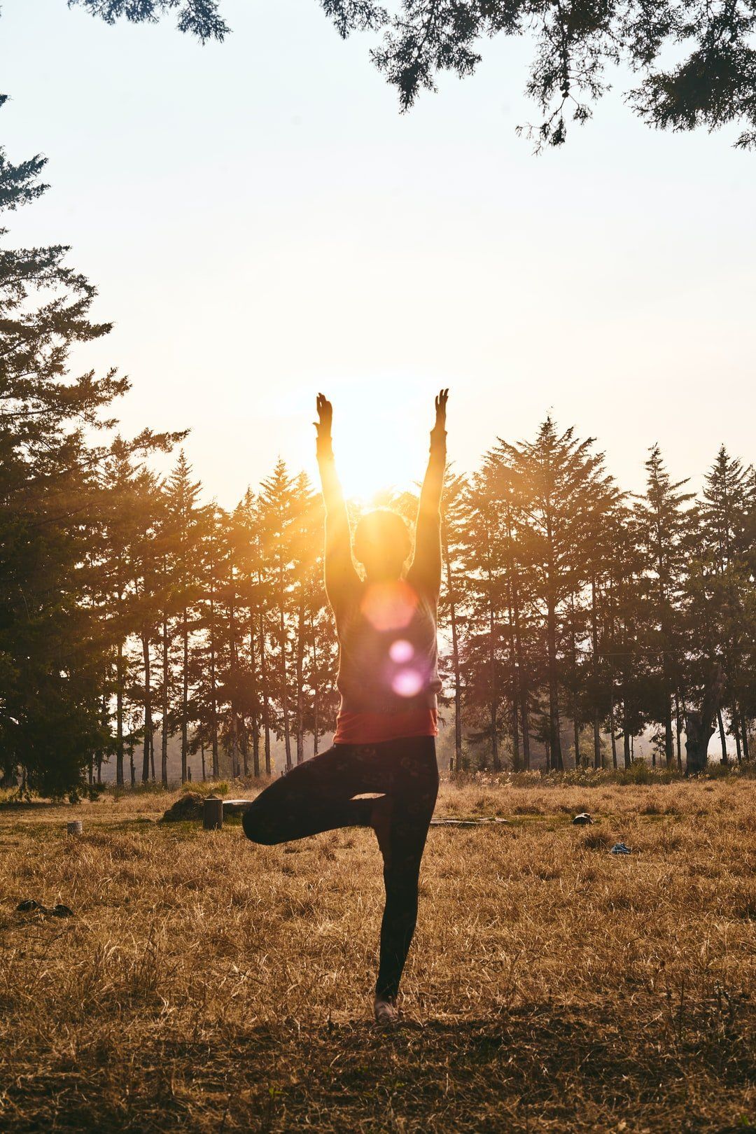 A woman is practicing yoga in a field with the sun shining through the trees.