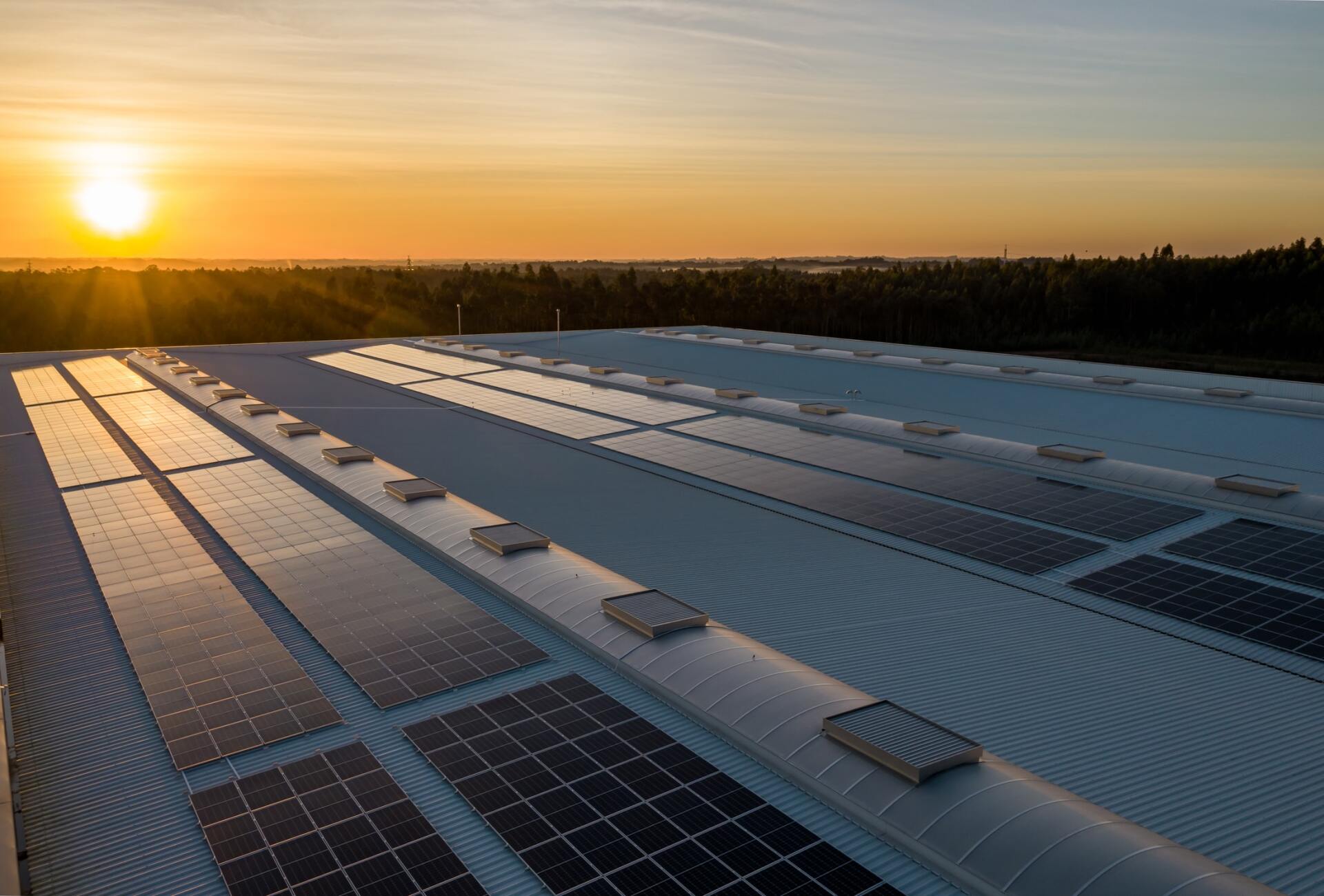 Solar PV Panels: Myth busting with Mesh Energy