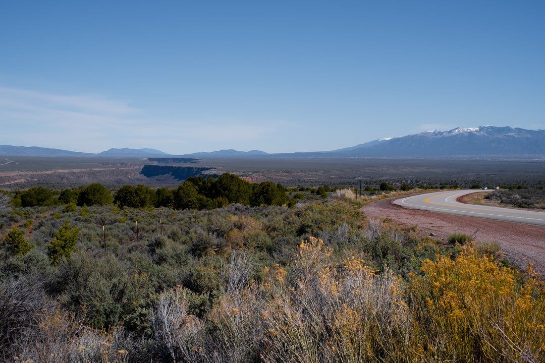 sage brush with a road leading to mountains