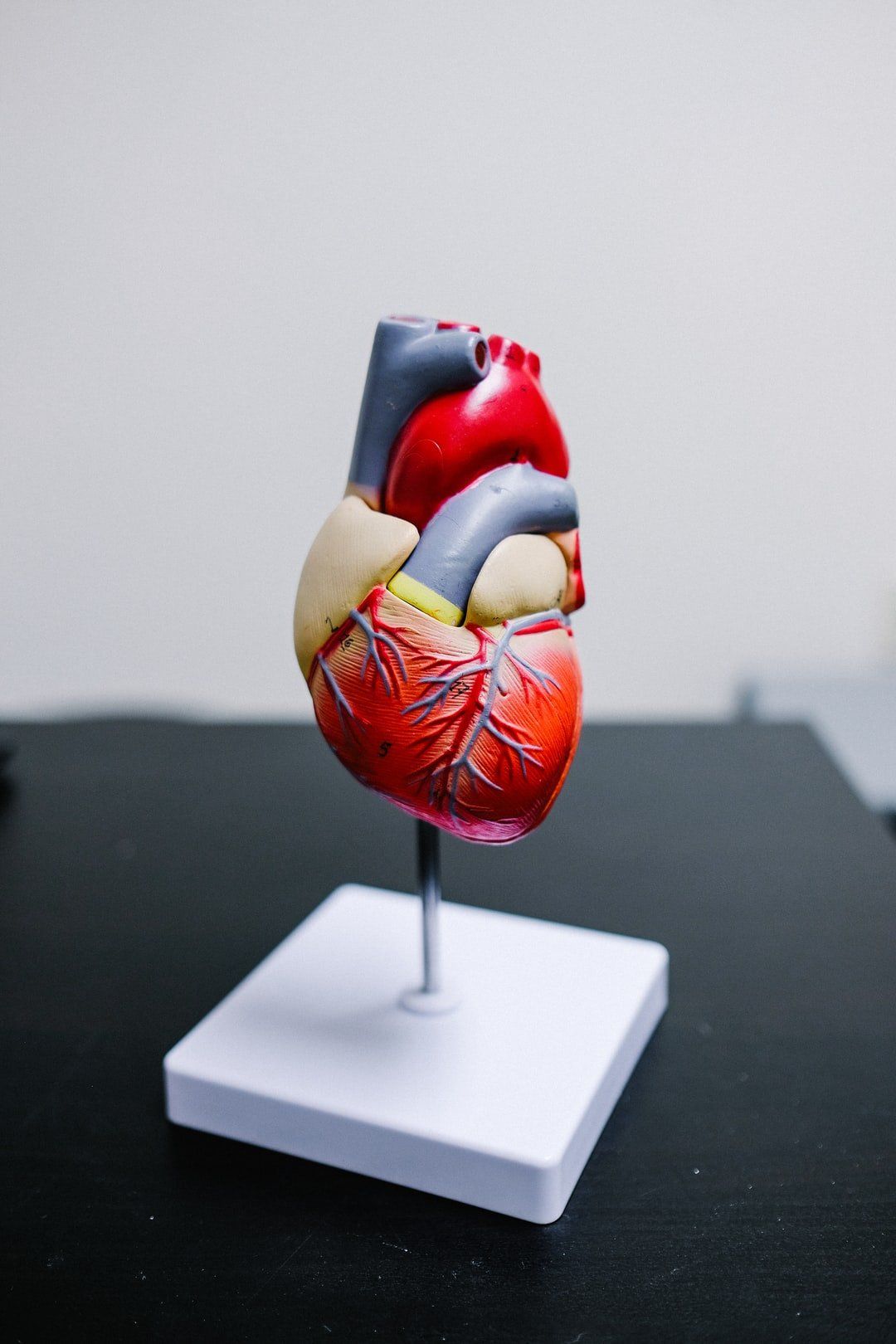 Healthy Heart Ideas