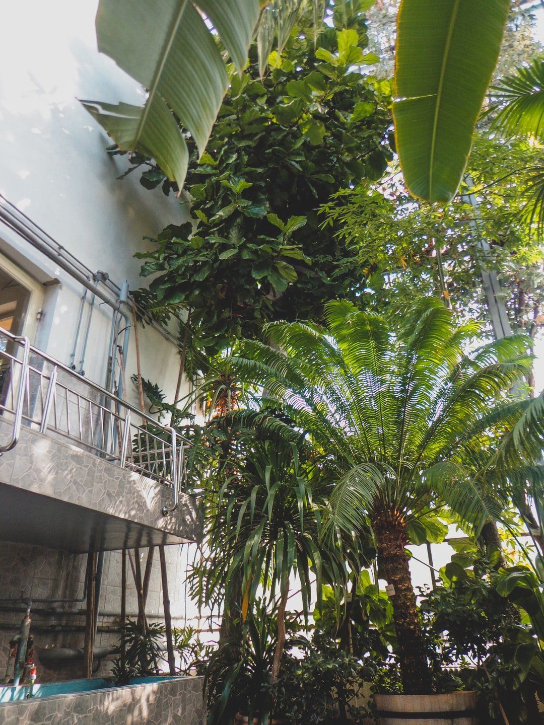 A building with a balcony and lots of plants in front of it