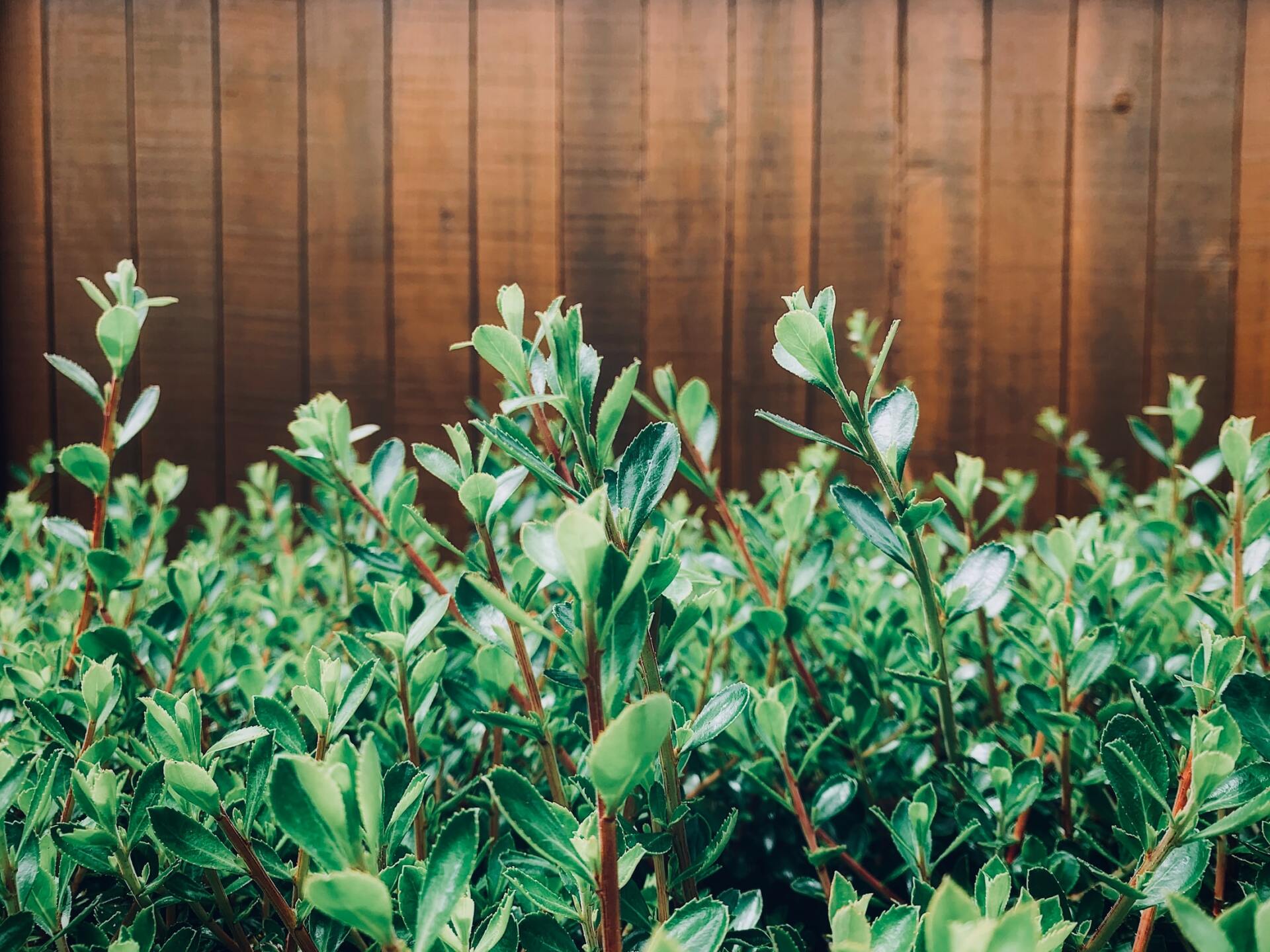 About Us Aluminum Fence Installation Cost Illinois Contractor