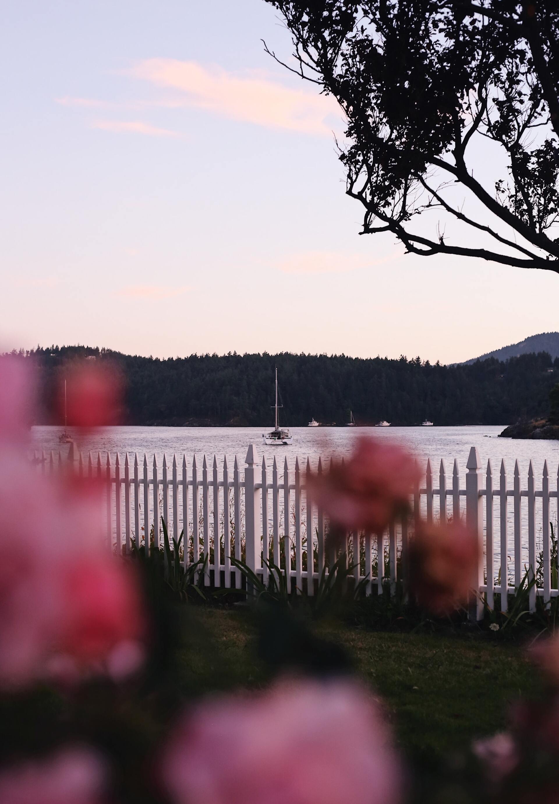 cost-of-privacy-fence-fence-cost-estimator-privacy-fence-cost