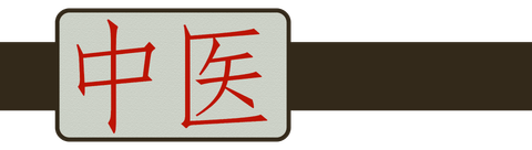 ChinMedBerlin